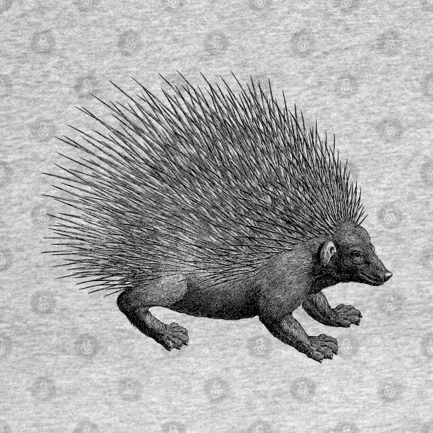 Vintage Hedgehog Porcupine Illustration by AltrusianGrace